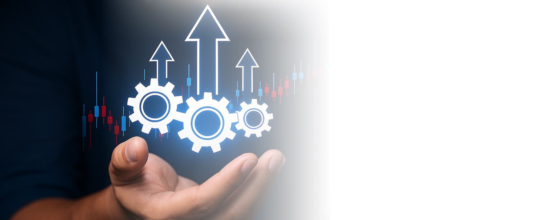 Advisor Image